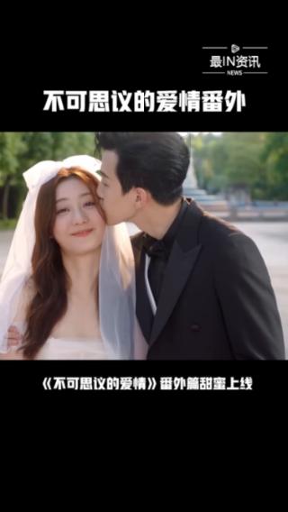 孤独的流浪者救援